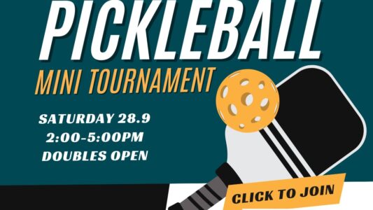 Pickleball Mini Tournament